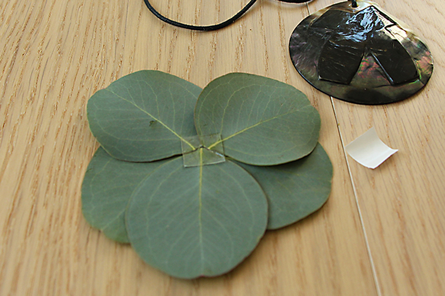 https://www.flowers.com/blog/wp content/uploads///square strip on leaves