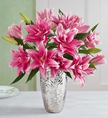 Now Blooming Double Bloom Lily